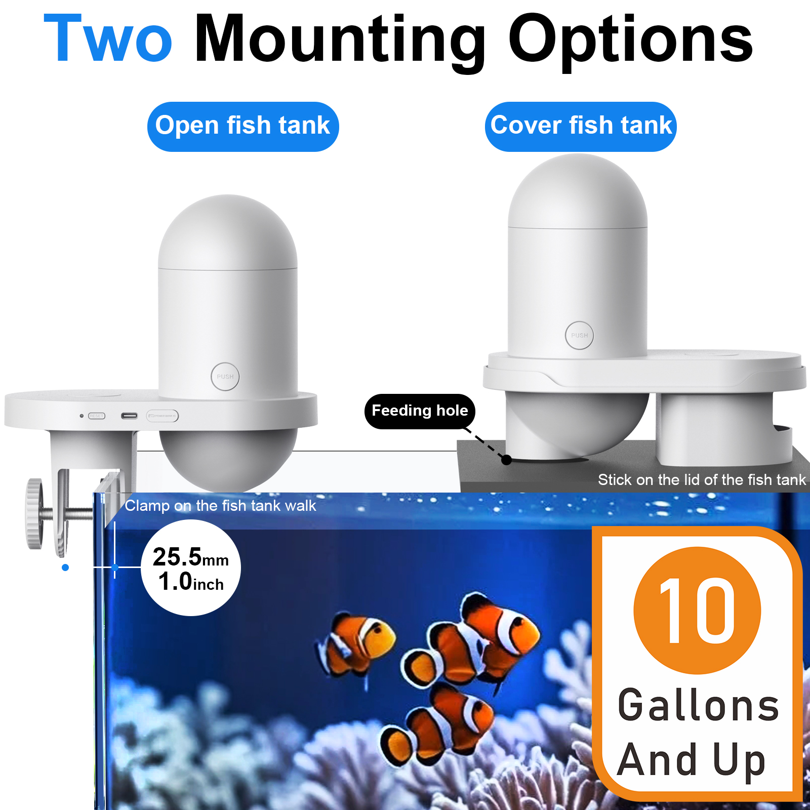Automatic Fish Feeder With Cam - Fishing Line Dispenser review and price