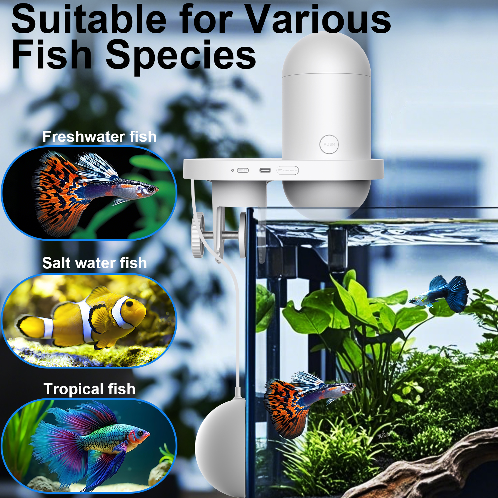 Automatic Fish Feeder With Cam - Fishing Line Dispenser review and price